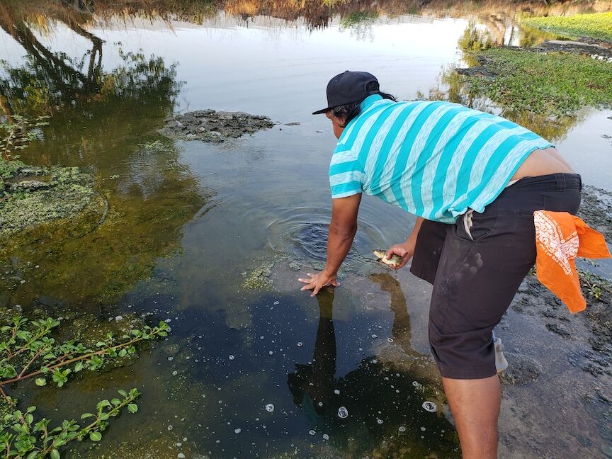 Throwing a fish back into the L.A. River